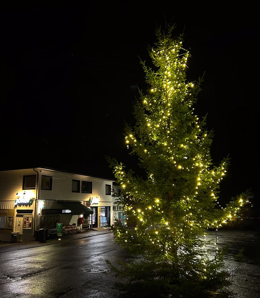 STEMNINGSFULL JULEGRANTENNING PÅ ULVØYA